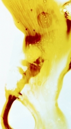 Film soup I | © Juliane Schütz