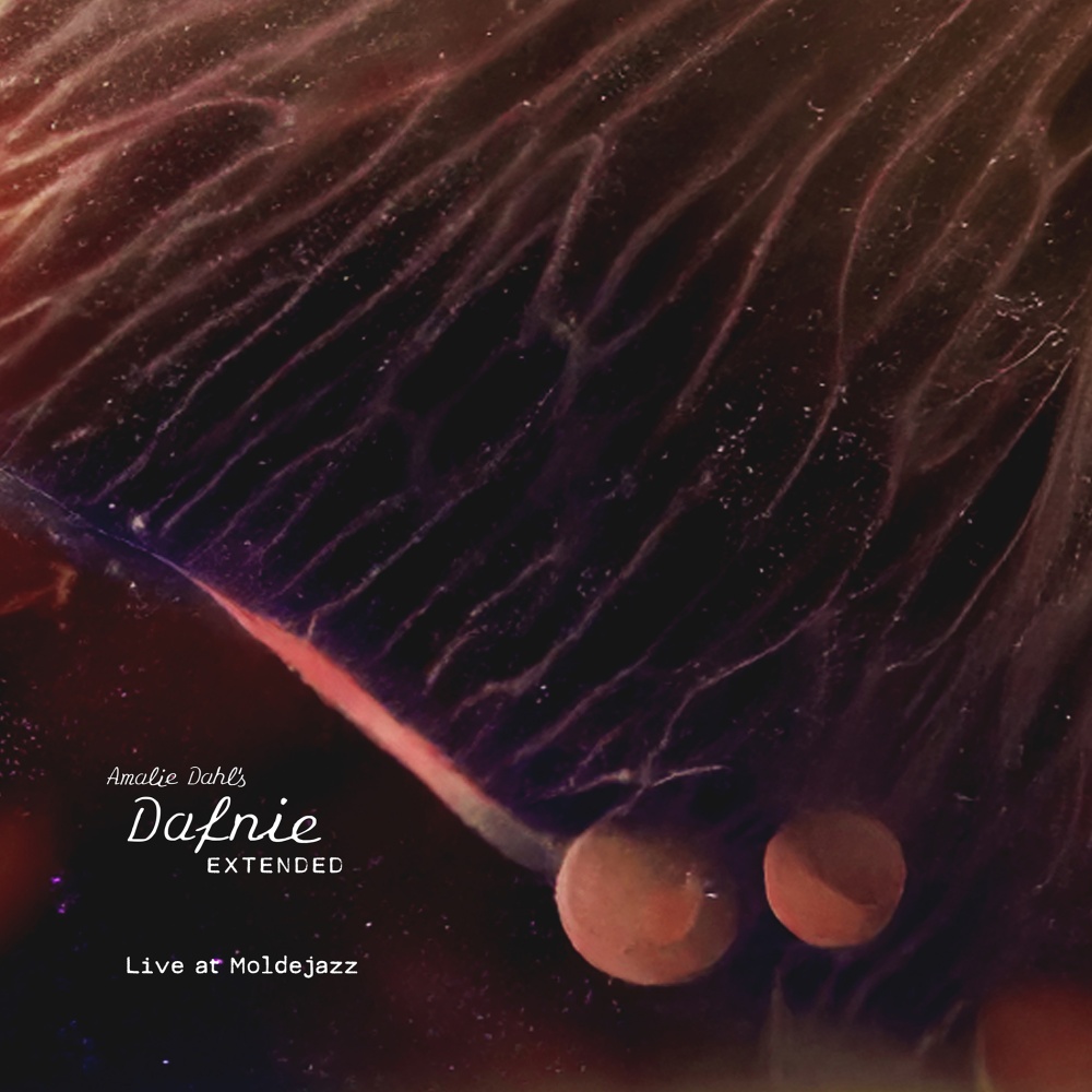 Amalie Dahl's Dafnie EXTENDED "Live at Moldejazz " - Sonic Transmissions Records Digital album artwork © Juliane Schütz